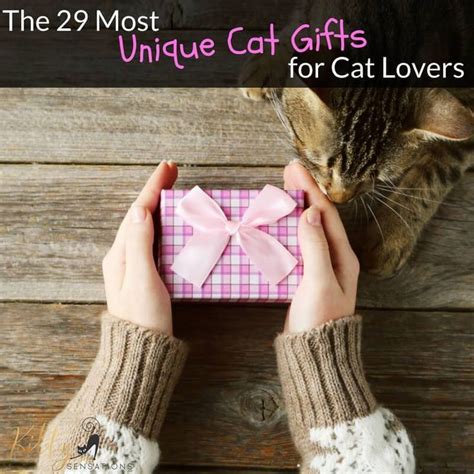 luxury gifts for cat lovers.